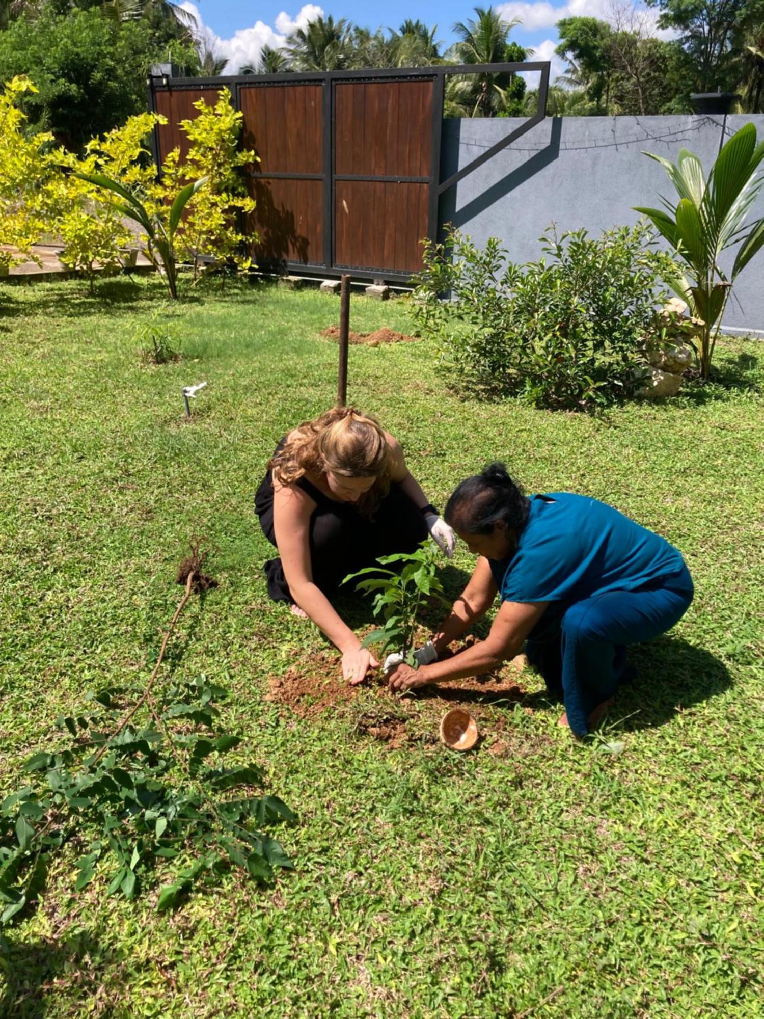 Amba Kola Udawalawa Hotel Udawalawe Bagian luar foto