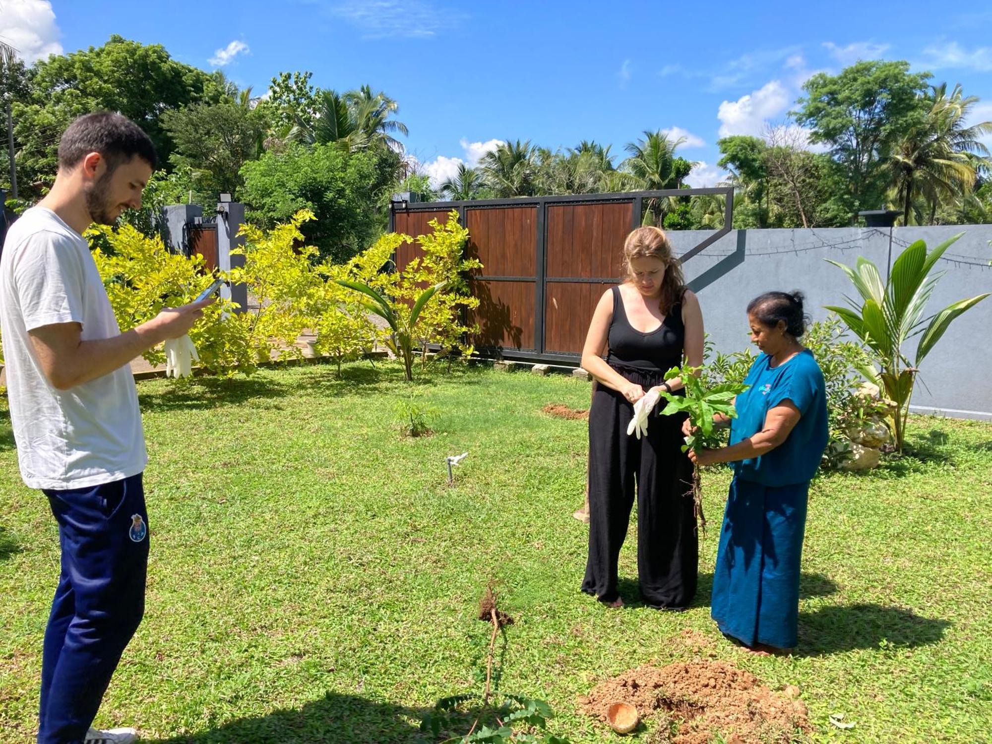 Amba Kola Udawalawa Hotel Udawalawe Bagian luar foto