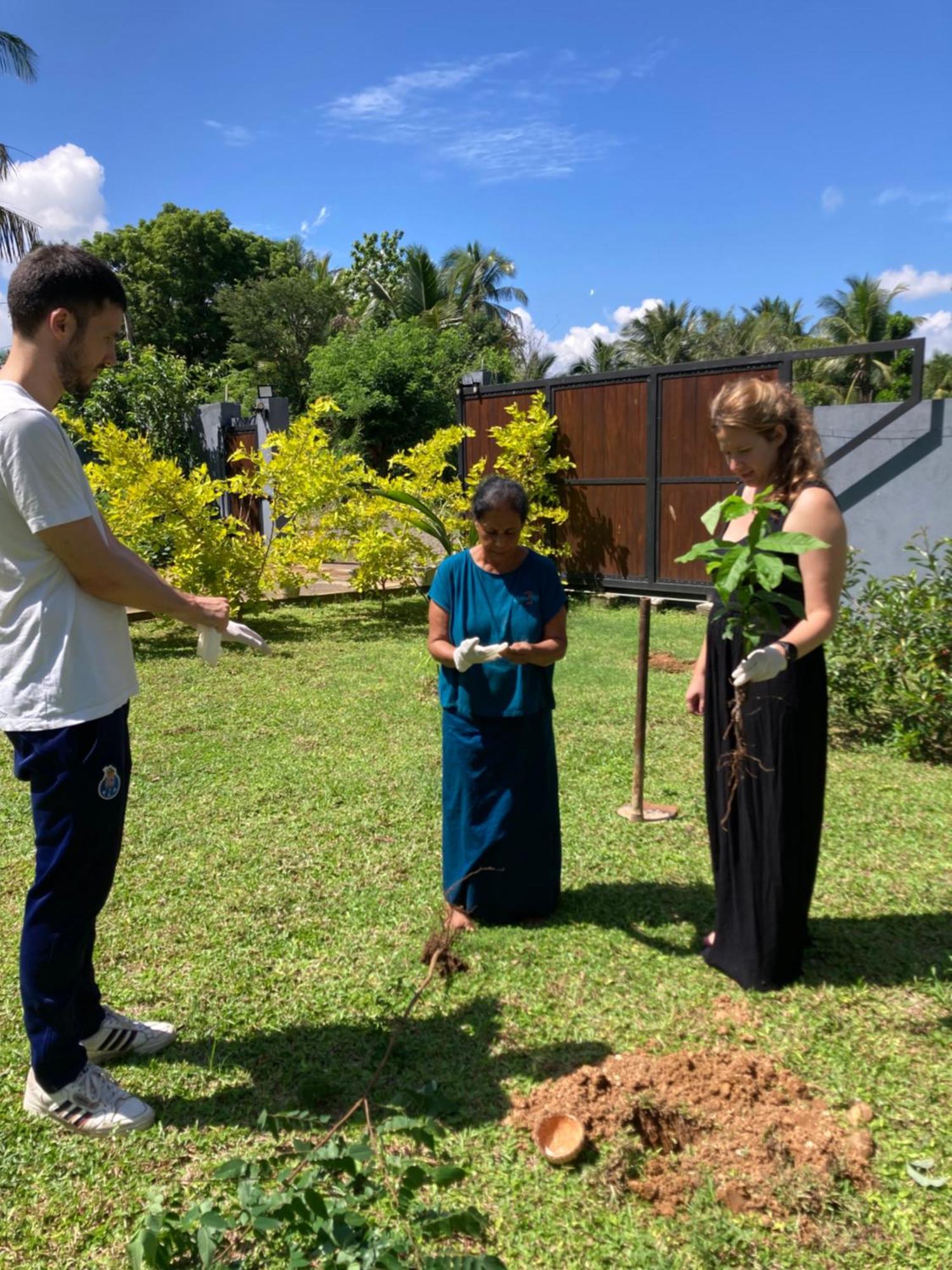 Amba Kola Udawalawa Hotel Udawalawe Bagian luar foto