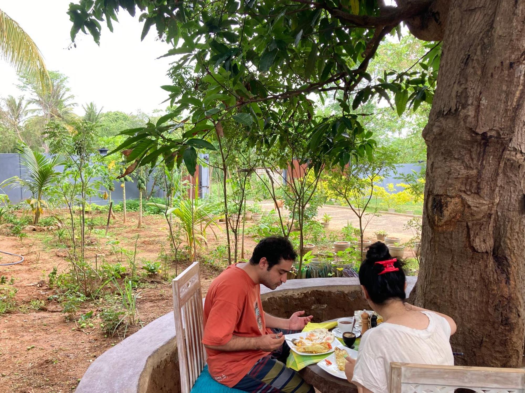 Amba Kola Udawalawa Hotel Udawalawe Bagian luar foto